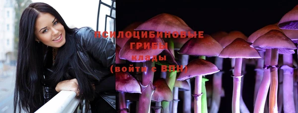 таблы Алексин