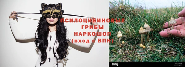 меф Алзамай